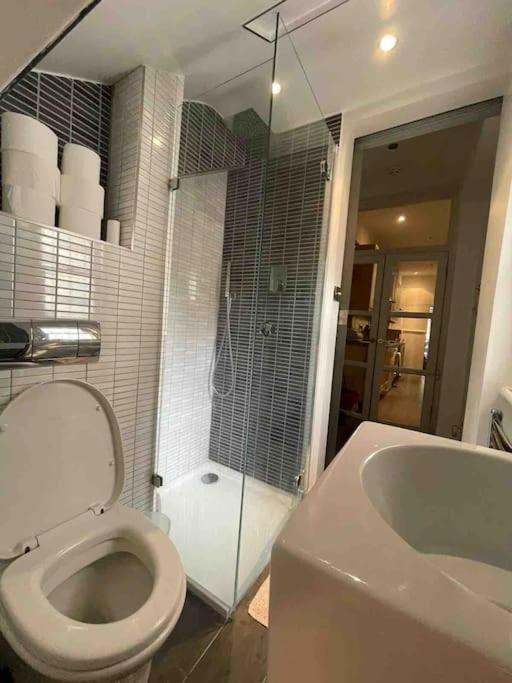 Large Studio Flat In Kensington لندن المظهر الخارجي الصورة